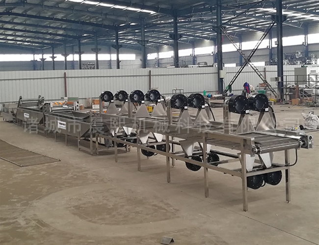 蔬菜合作社凈菜加工成套設備