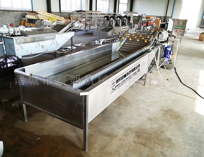 小型果蔬清洗機生產廠家