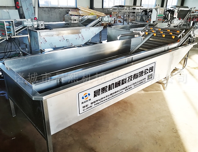 藠頭專用清洗機(jī)