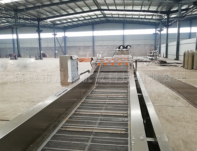 香椿芽脫鹽清洗機(jī)