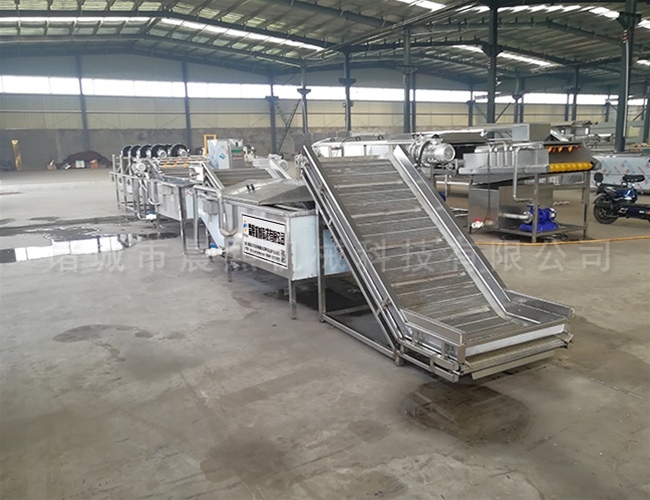 太子參清洗機 根莖類藥材毛輥清洗設備