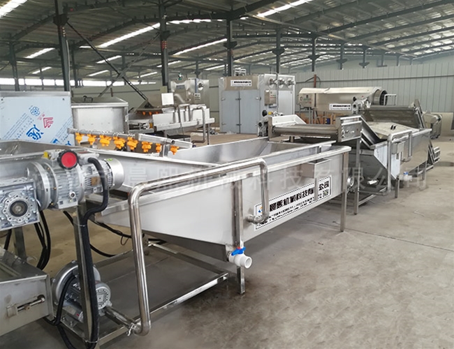 雪蓮果清洗機(jī)