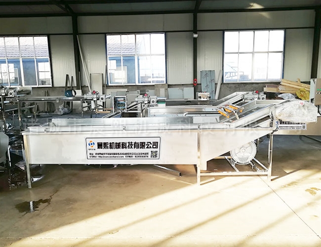 櫻桃鼓泡清洗機