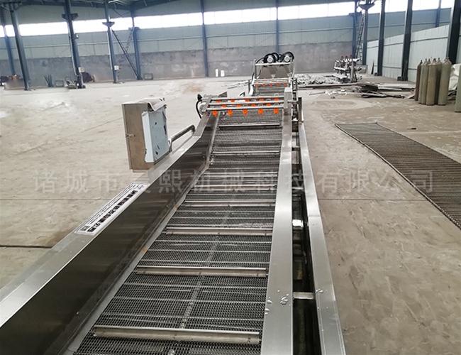 全自動(dòng)毛豆清洗流水線